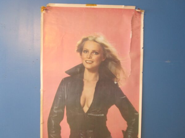 1978 Cheryl Ladd six foot poster - Image 3