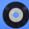 Christopher Cross - Authur's Theme - Image 5
