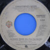 Christopher Cross - Authur's Theme - Image 4