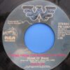 Waylon Jennings - Theme from the Dukes of Hazard