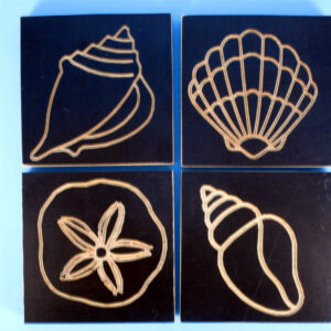 Ocean Shell Coasters - set of 4