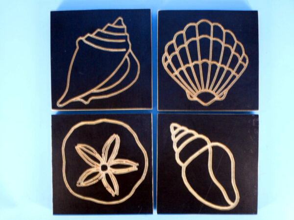Ocean Shell Coasters - set of 4