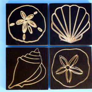 Ocean Shell Coasters - set of 4