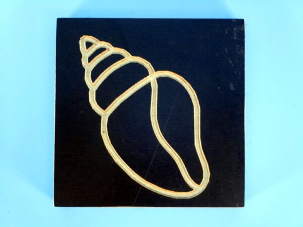 Ocean Shell Coasters - set of 4 - Image 5