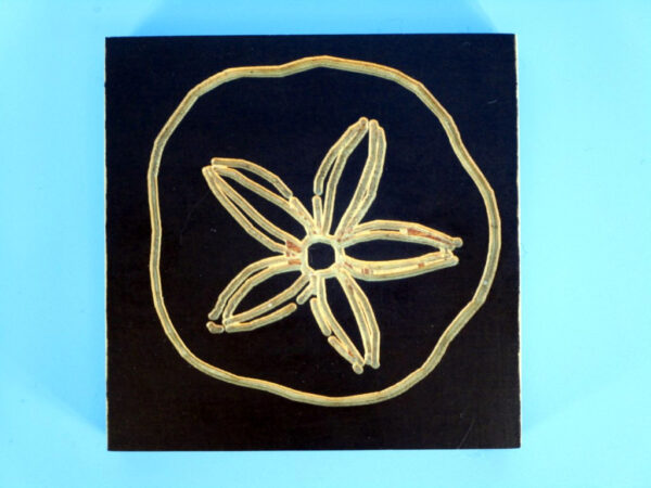 Ocean Shell Coasters - set of 4 - Image 3